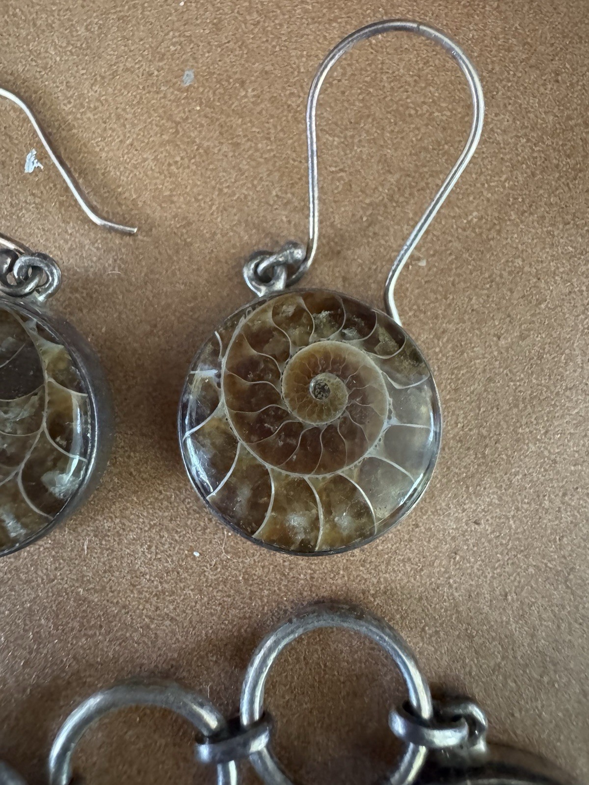 925 Silver Natural Ammonite Fossil Chain Bracelet & Earrings