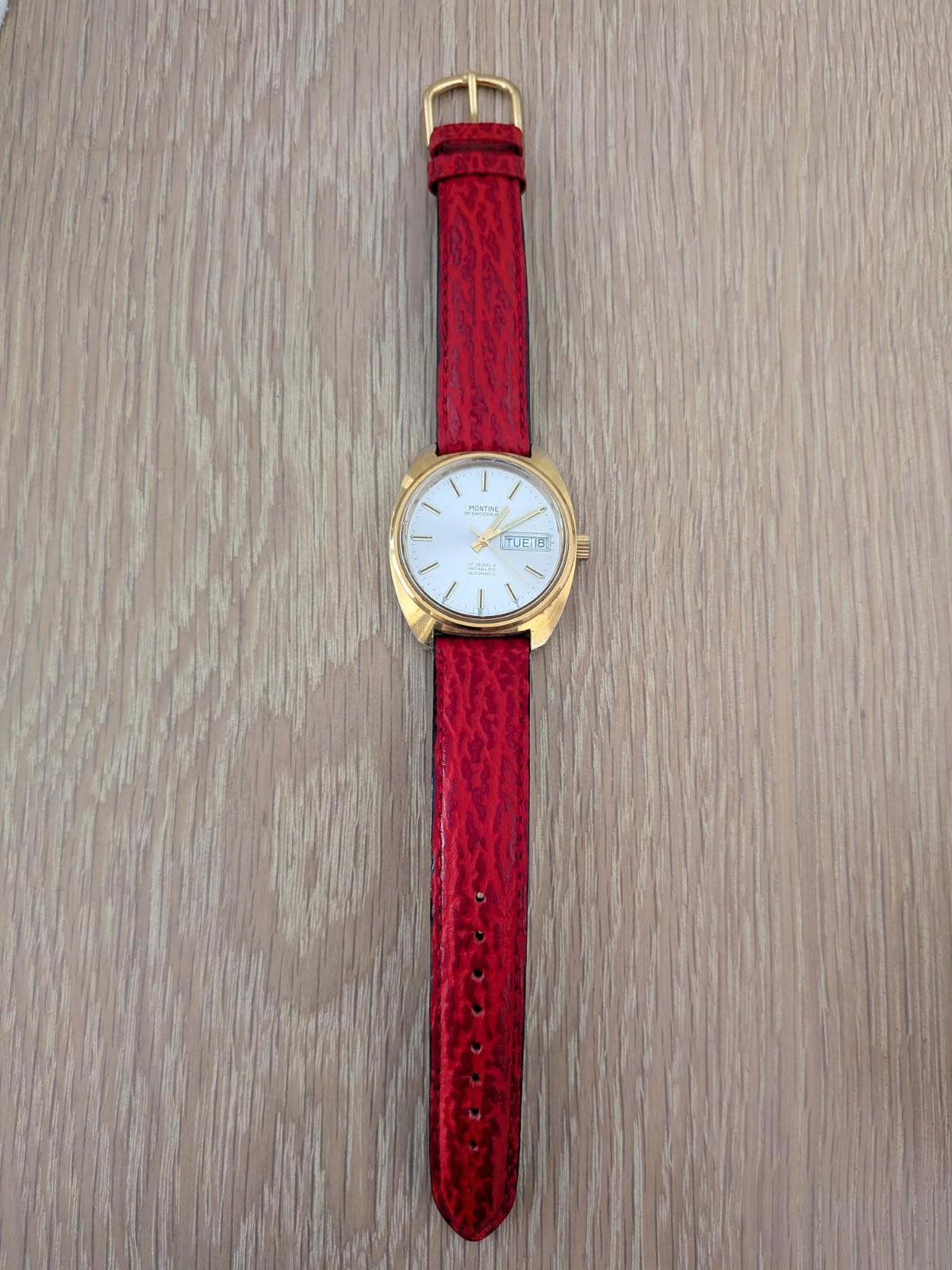 Montine Of Switzerland 17 Jewels Automatic Incabloc Men’s Watch