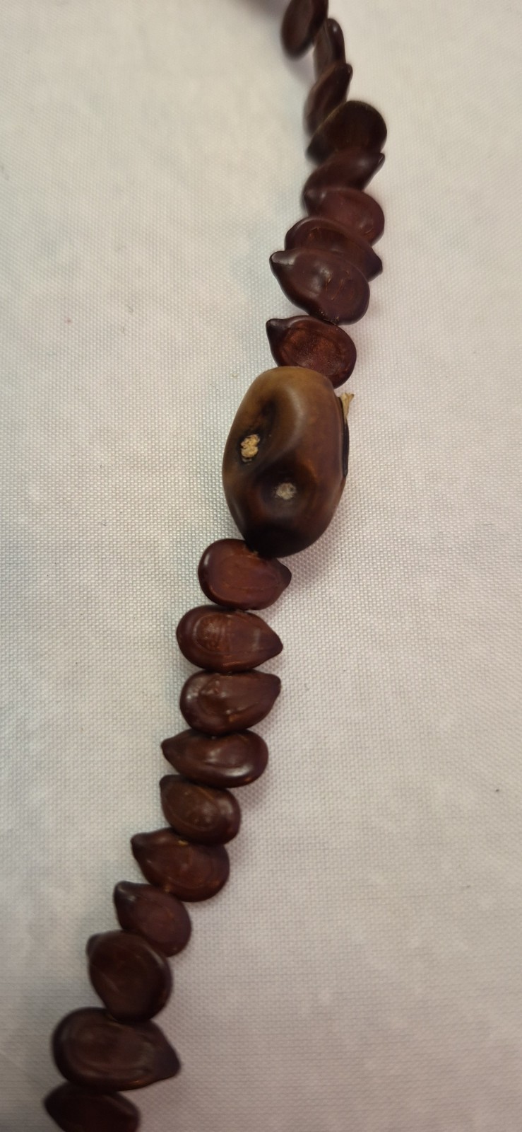 Coffee Bean Necklace. Brown.