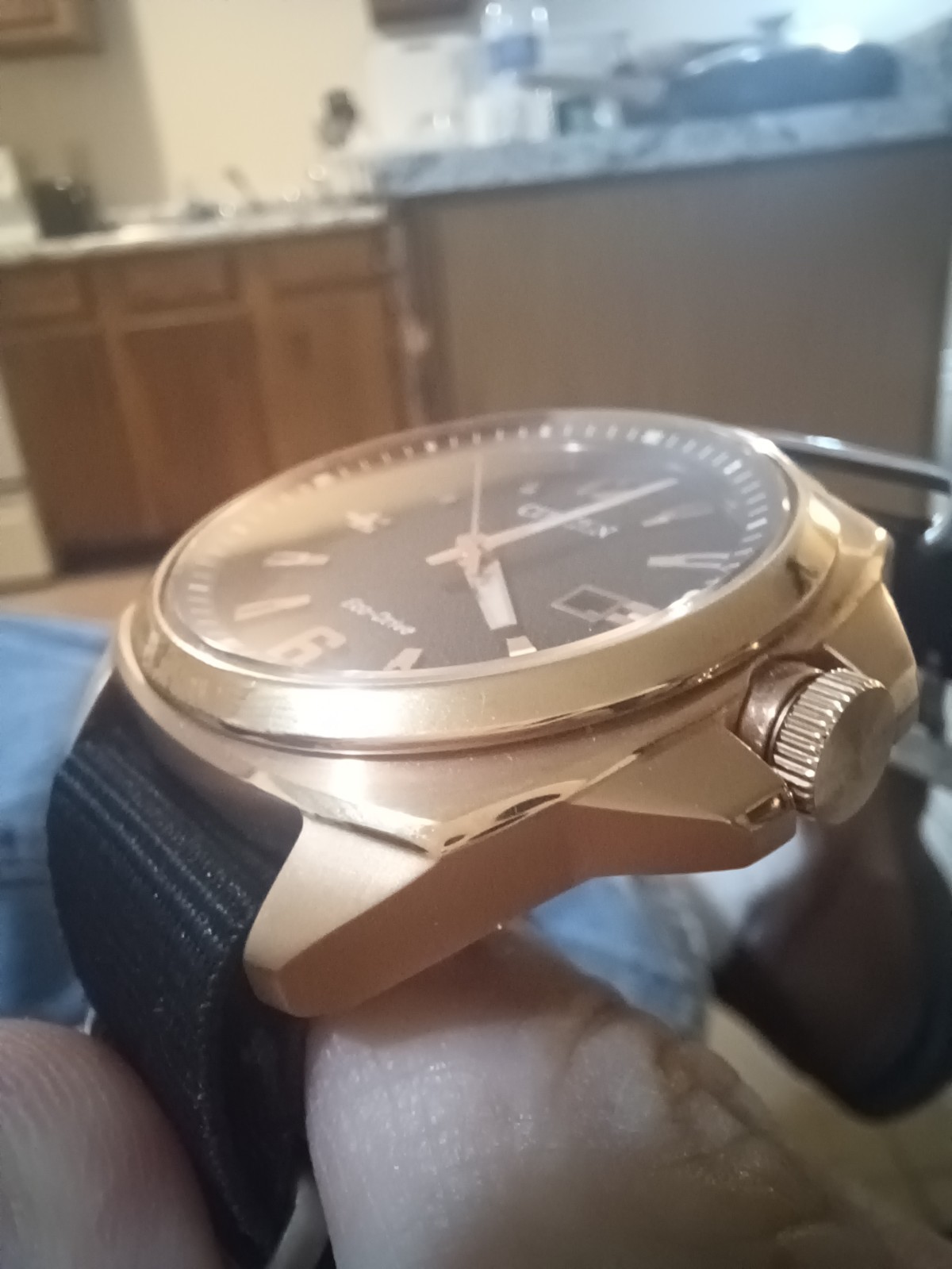 Citizen Endicott used