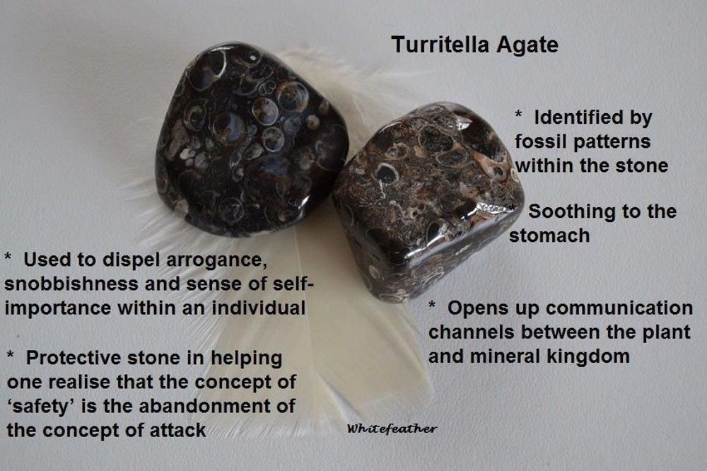 Turritella Oval Shape Gemstone Fashion Gift Vintage Jewelry Pendant 2.2″ SR 3372