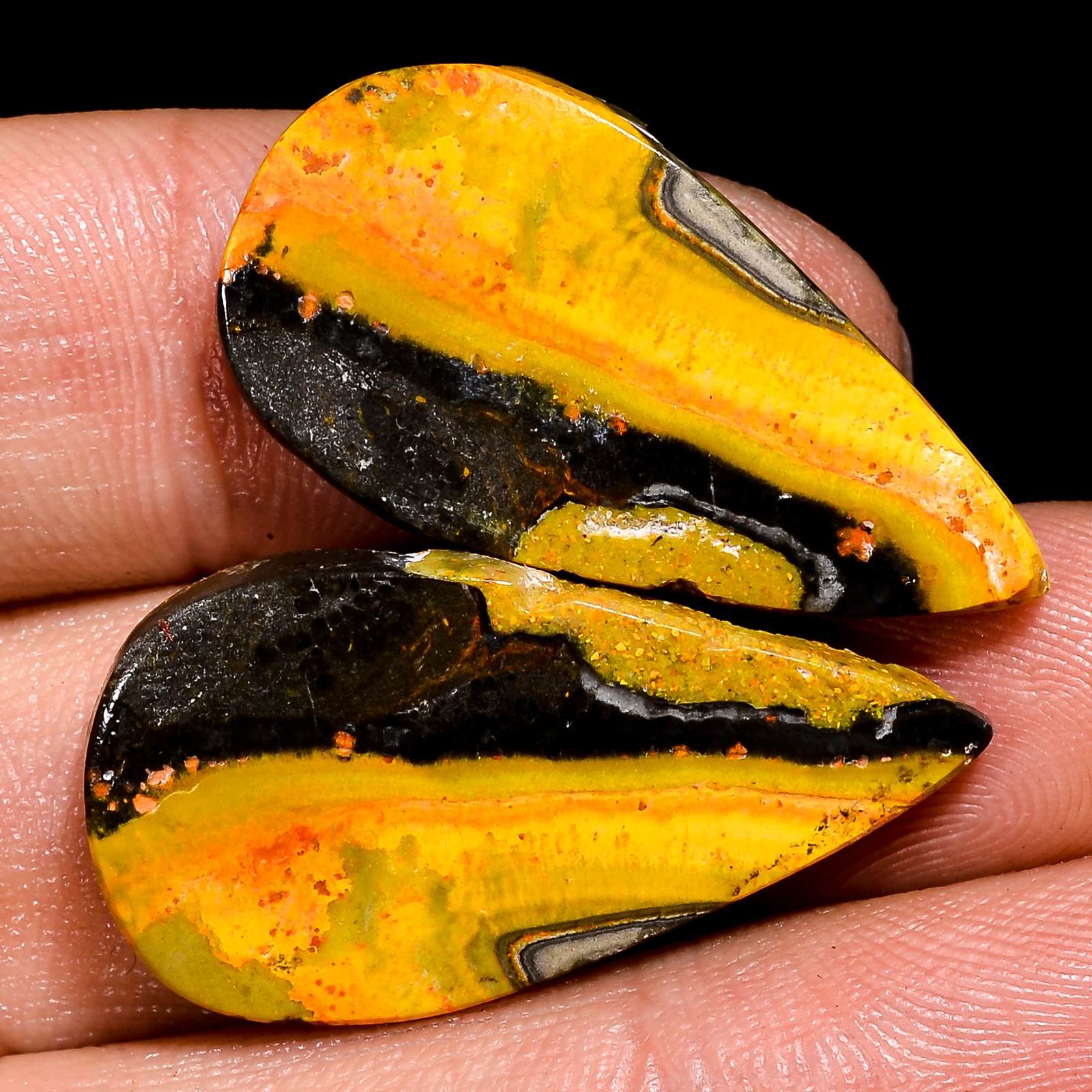 Indonesian Bumble Bee Jasper Pair Pear Shape Gemstone 30.25 Ct 15x29x3 mm lp-158