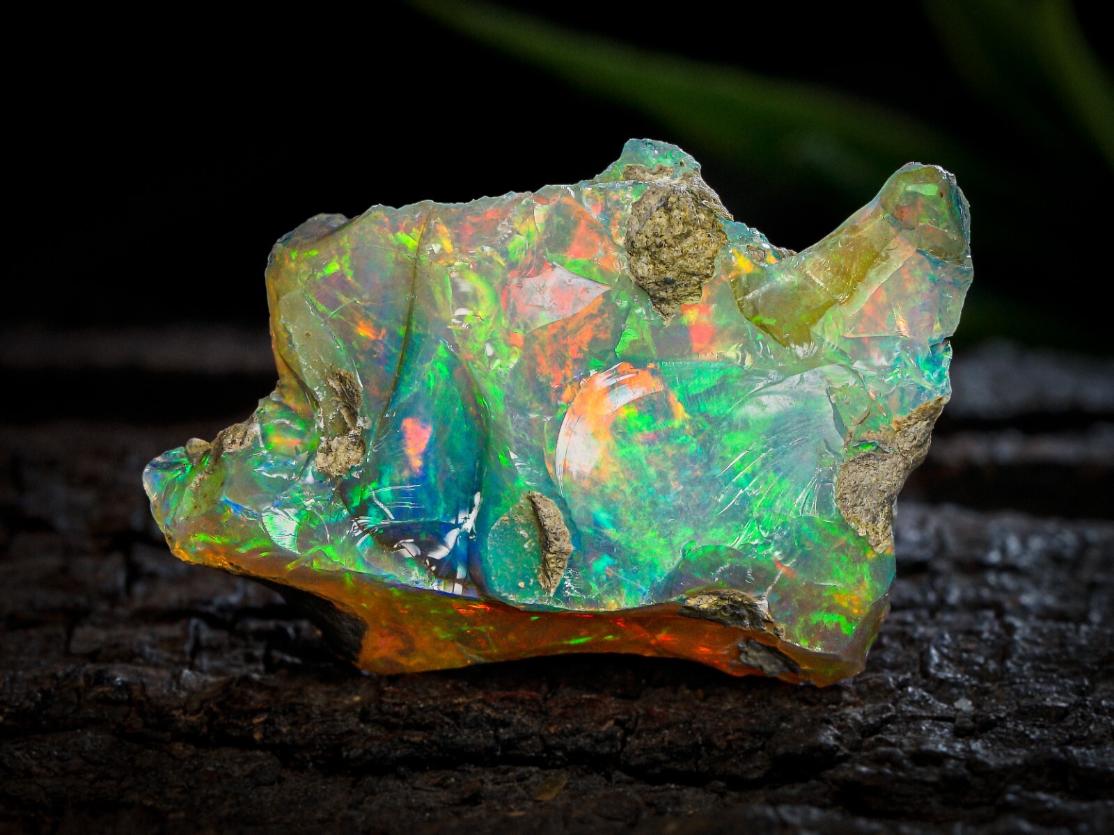 Rare Natural Ethiopian Opal Row Rough 32x18x11.5 MM Loose 26 Crt Gemstone#11