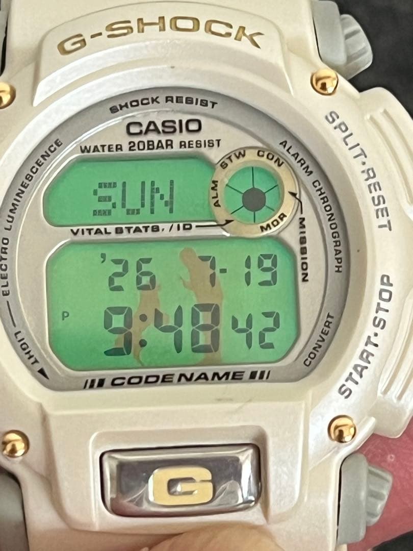 Rare G-SHOCK DW8800 Limited Edition
