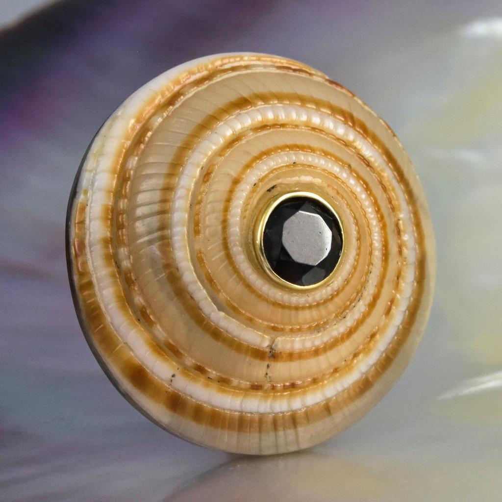 Evil Eye Design Natural Sea Snail Architectonica trochlearis Black Spinel 6.00g