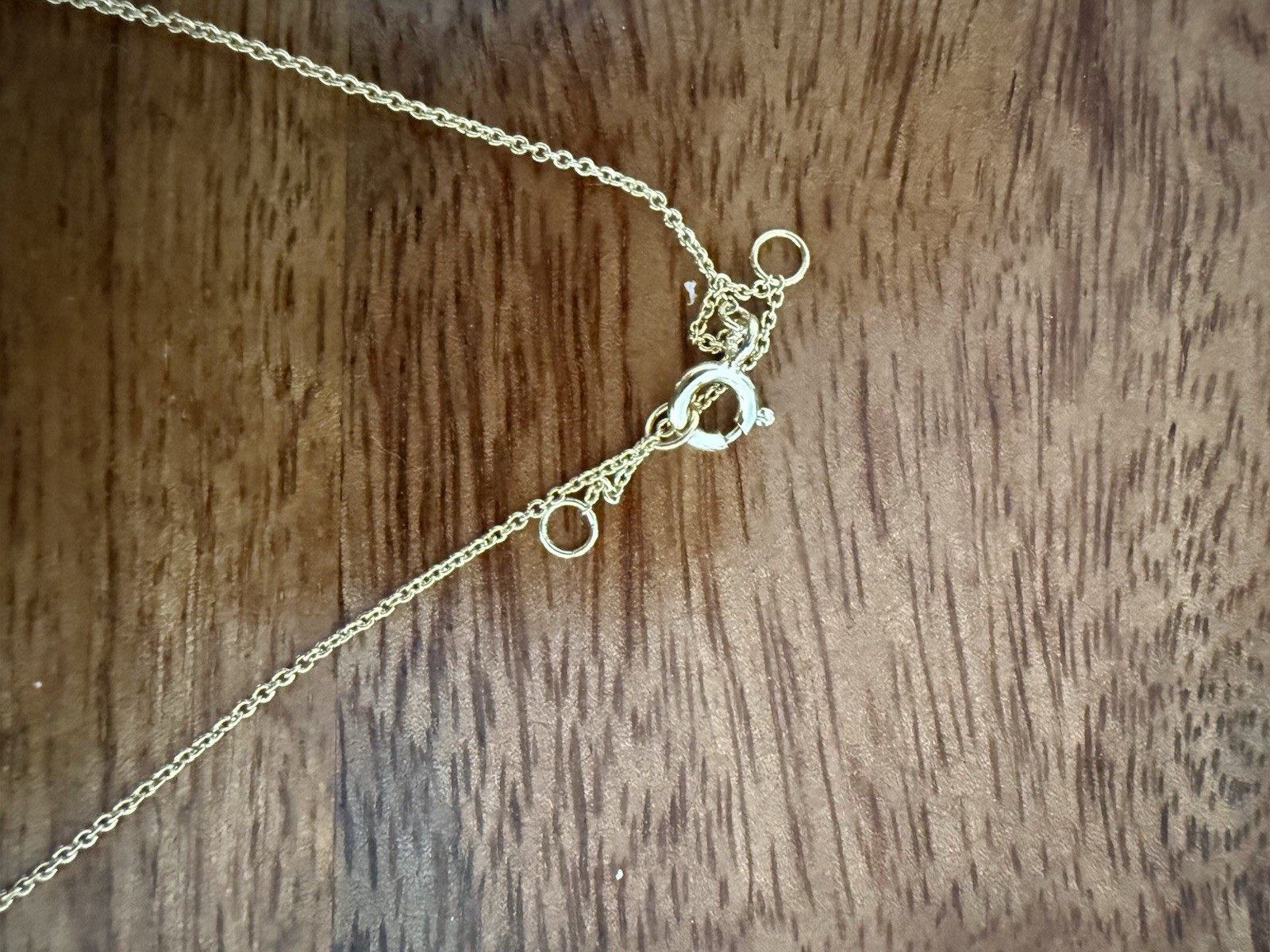 Birth Flower Pendant Necklace- January- Carnation