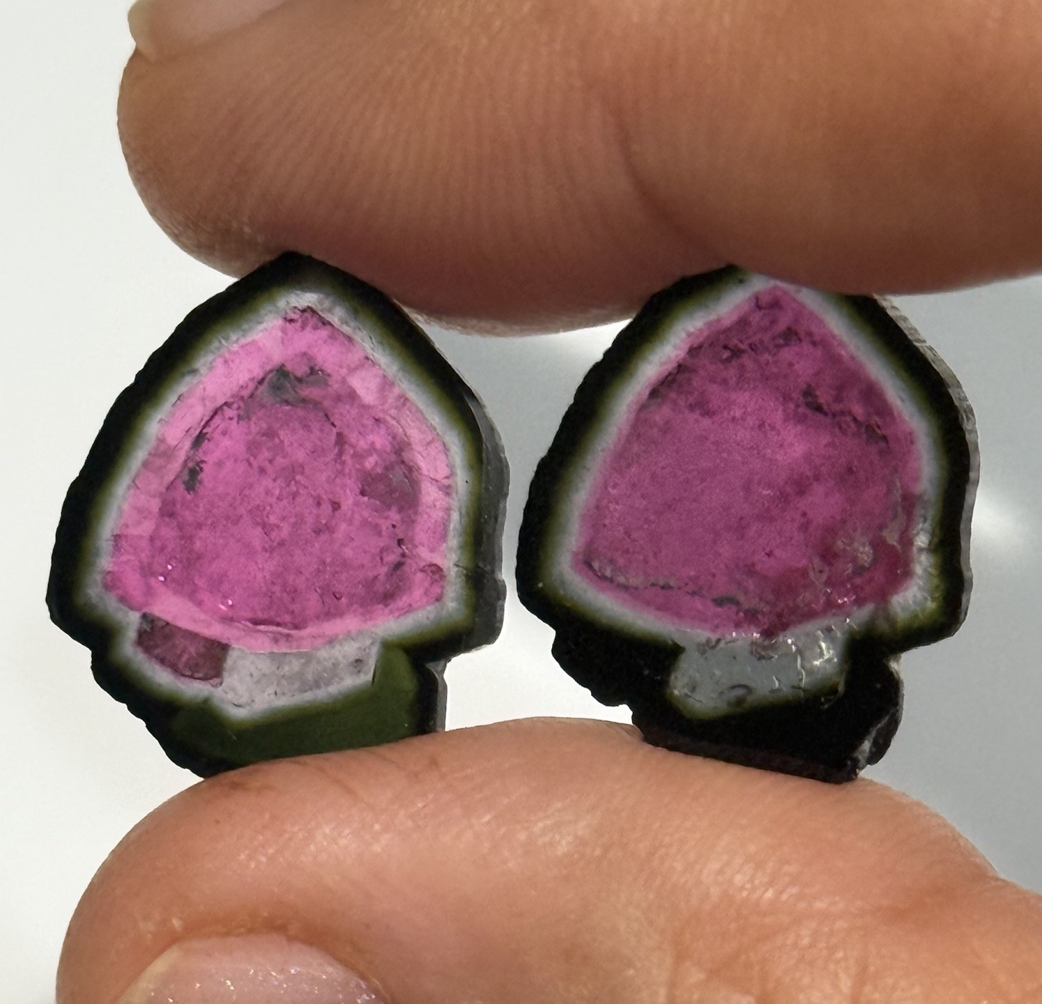14.15ct 19×16.2×2.56mm Pair Rare Large Genuine Watermelon Tourmaline Slices Gems