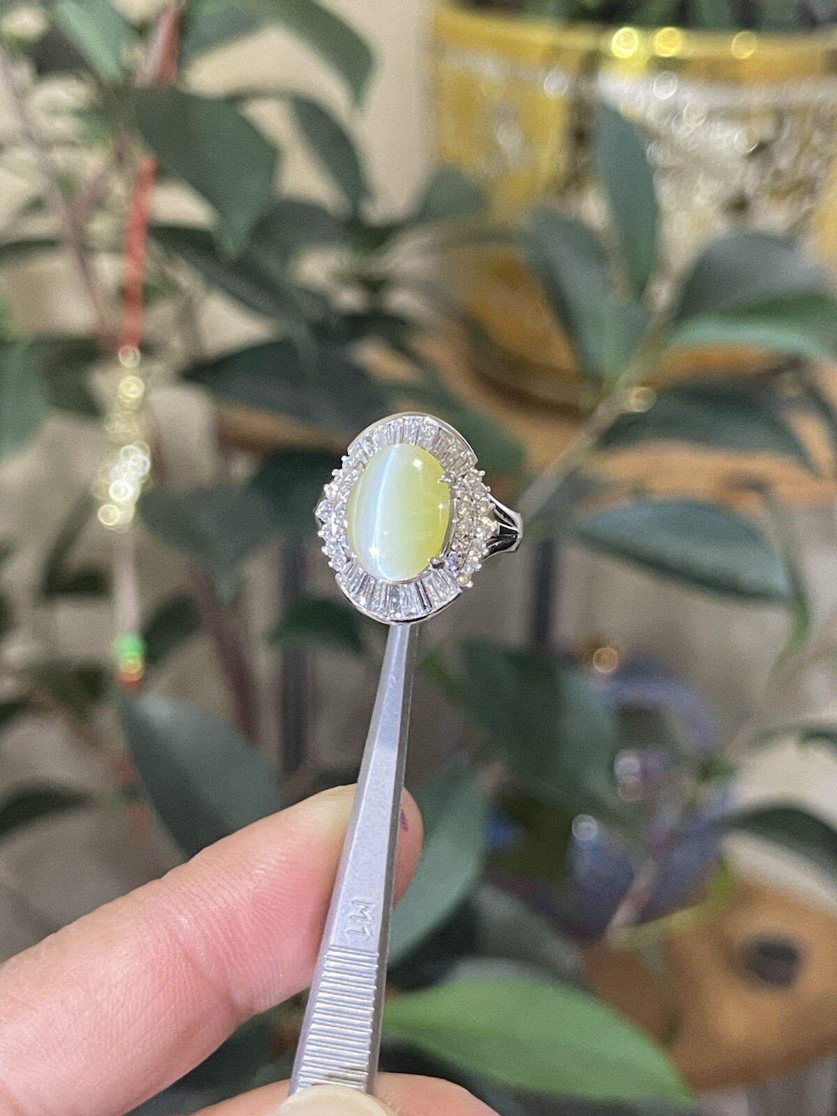 GIA 3.29ct Natural Chrysoberyl Greenish Yellow Cats Eye Ring 1.38ct diam,pt900