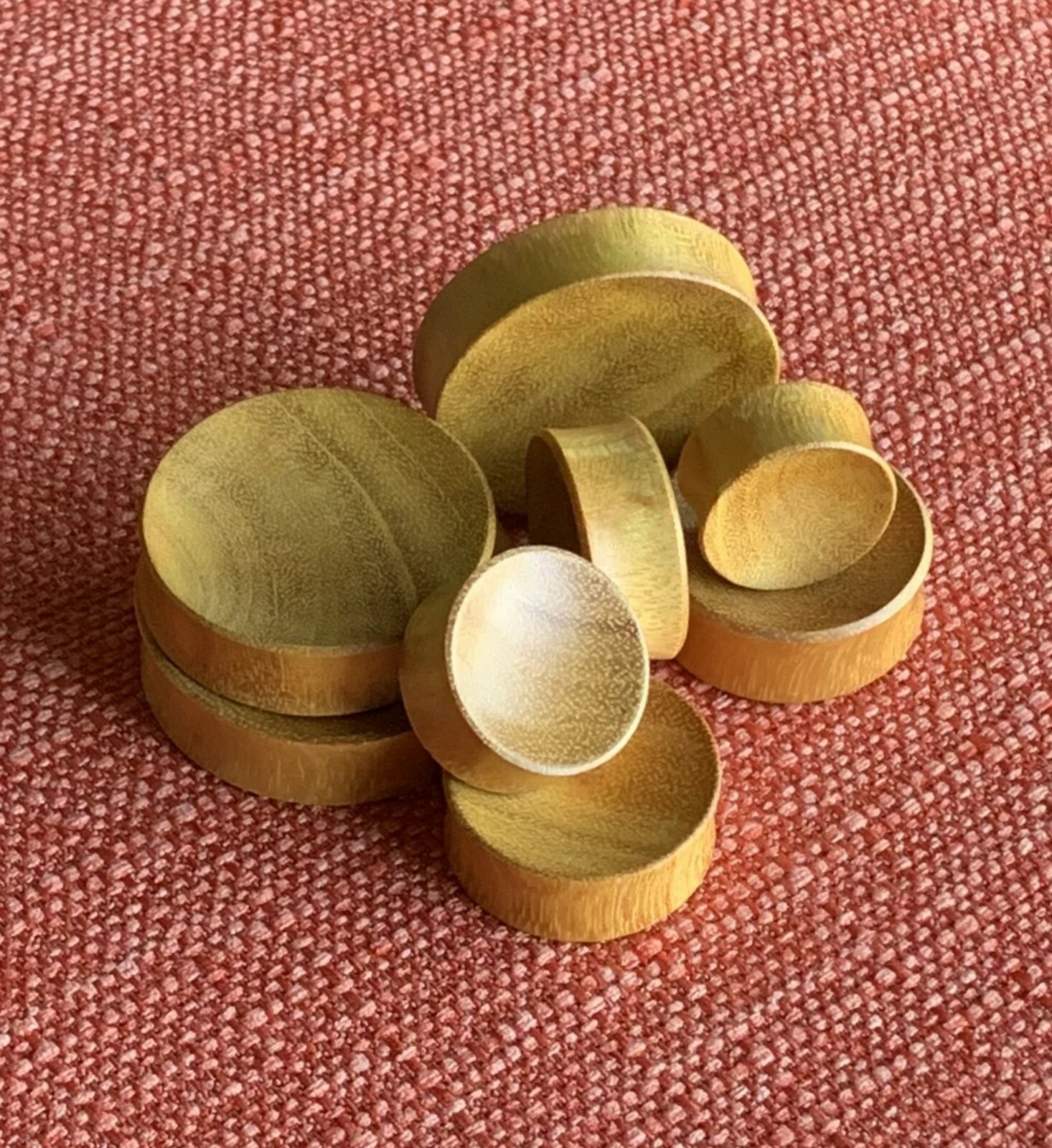 PAIR Concave Jackfruit Wood Plugs Gauges Earlet Organic Body Jewelry Large Sizes