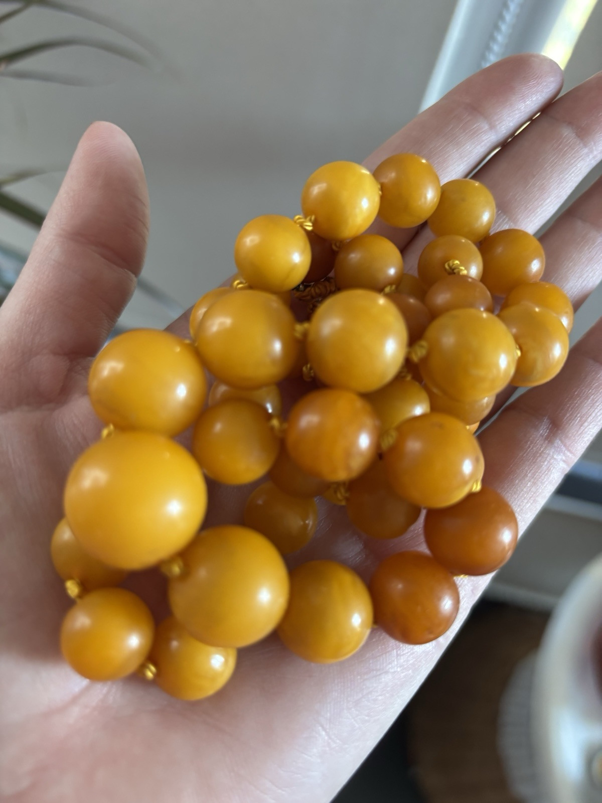 VINTAGE NATURAL BALTIC EGG YOLK BUTTERSCOTCH AMBER NECKLACE BEAUTIFUL SPHERE 55g