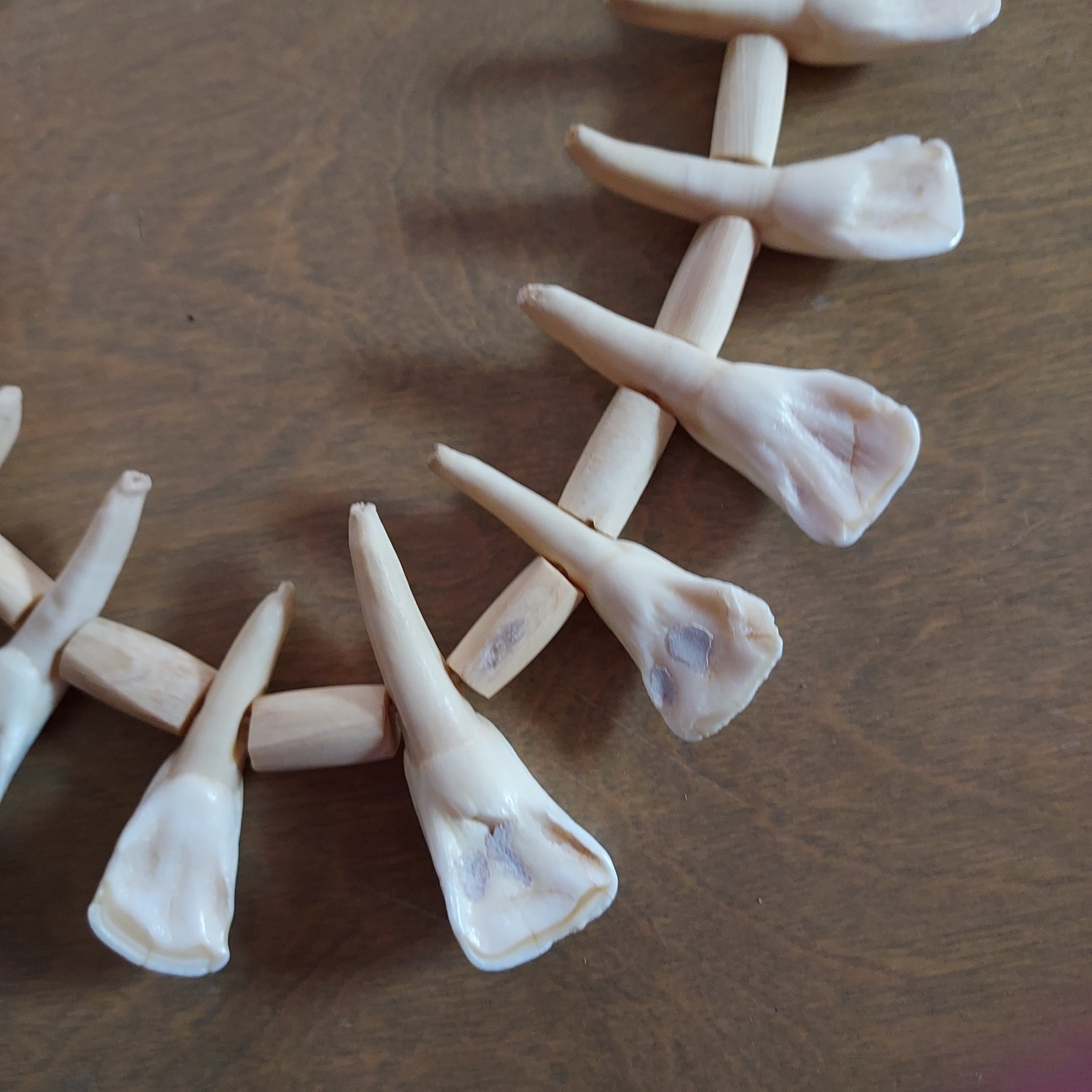 REAL Natural Vintage Tribal Ethnic Necklace Tooth / 20 TEETH + Animal BONES