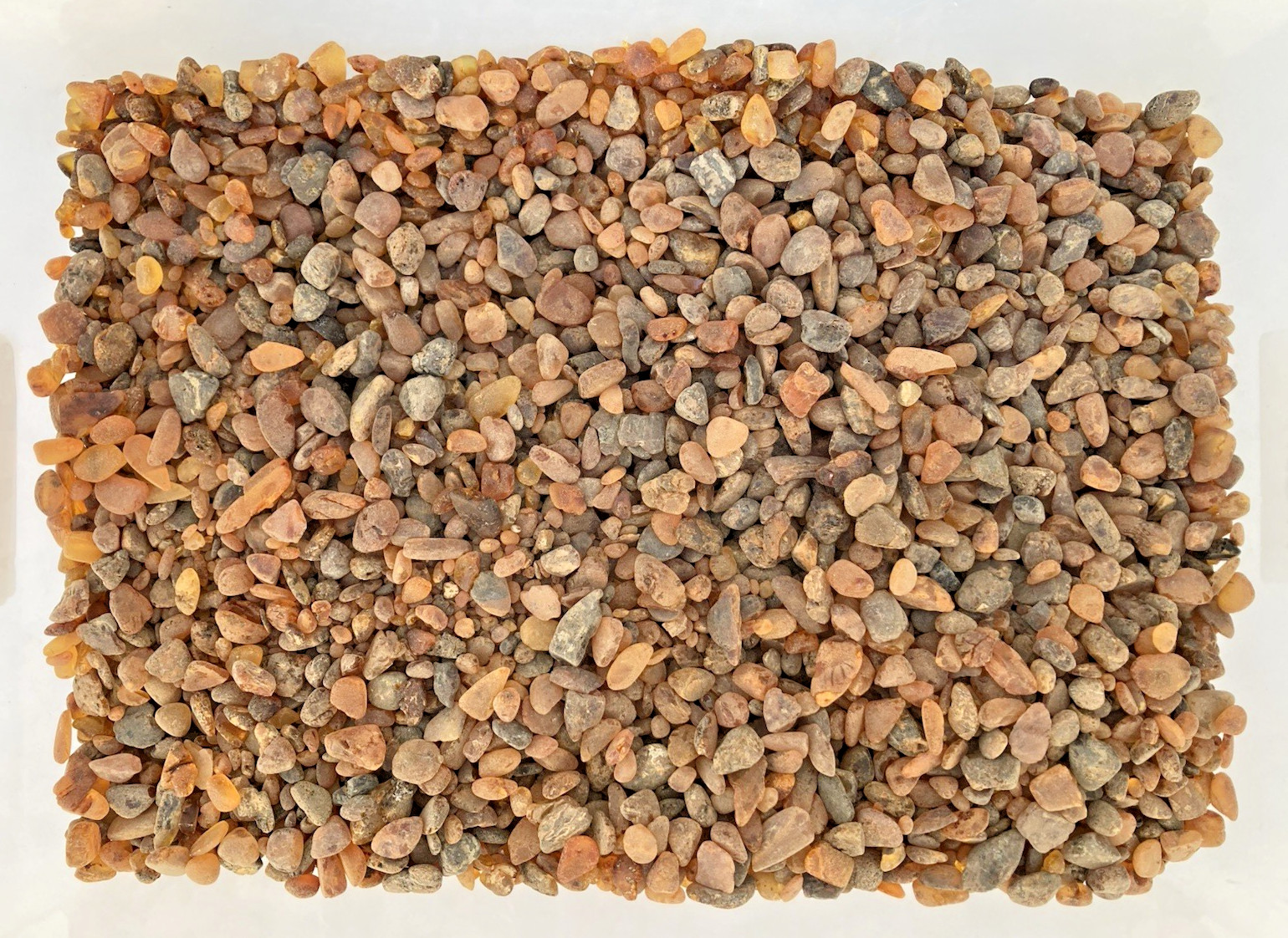 Wholesale Lot 1kg Dominican Small Natural Rough Amber Pieces – Copal
