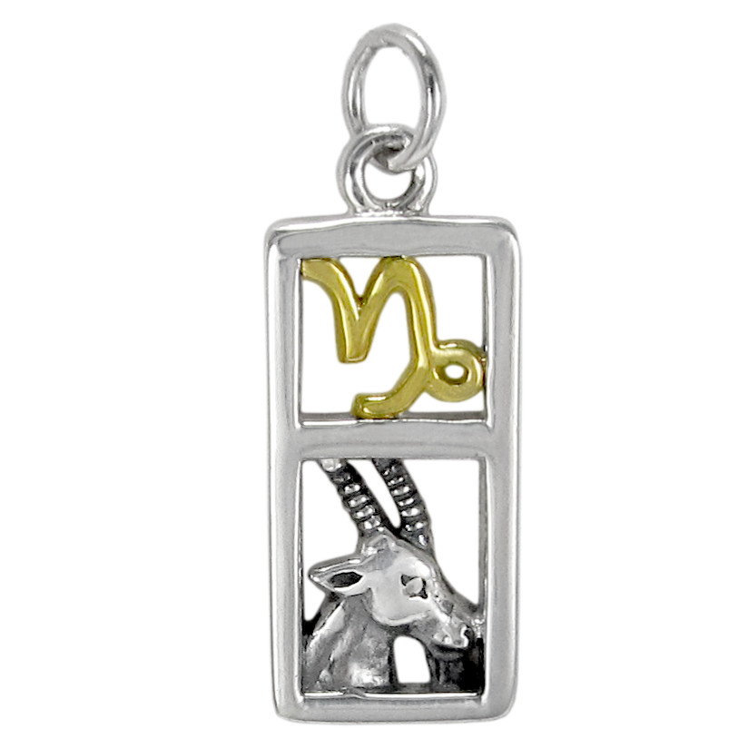 Capricorn Sign Sterling Silver Zodiac Pendant Charm Astrology Jewelry