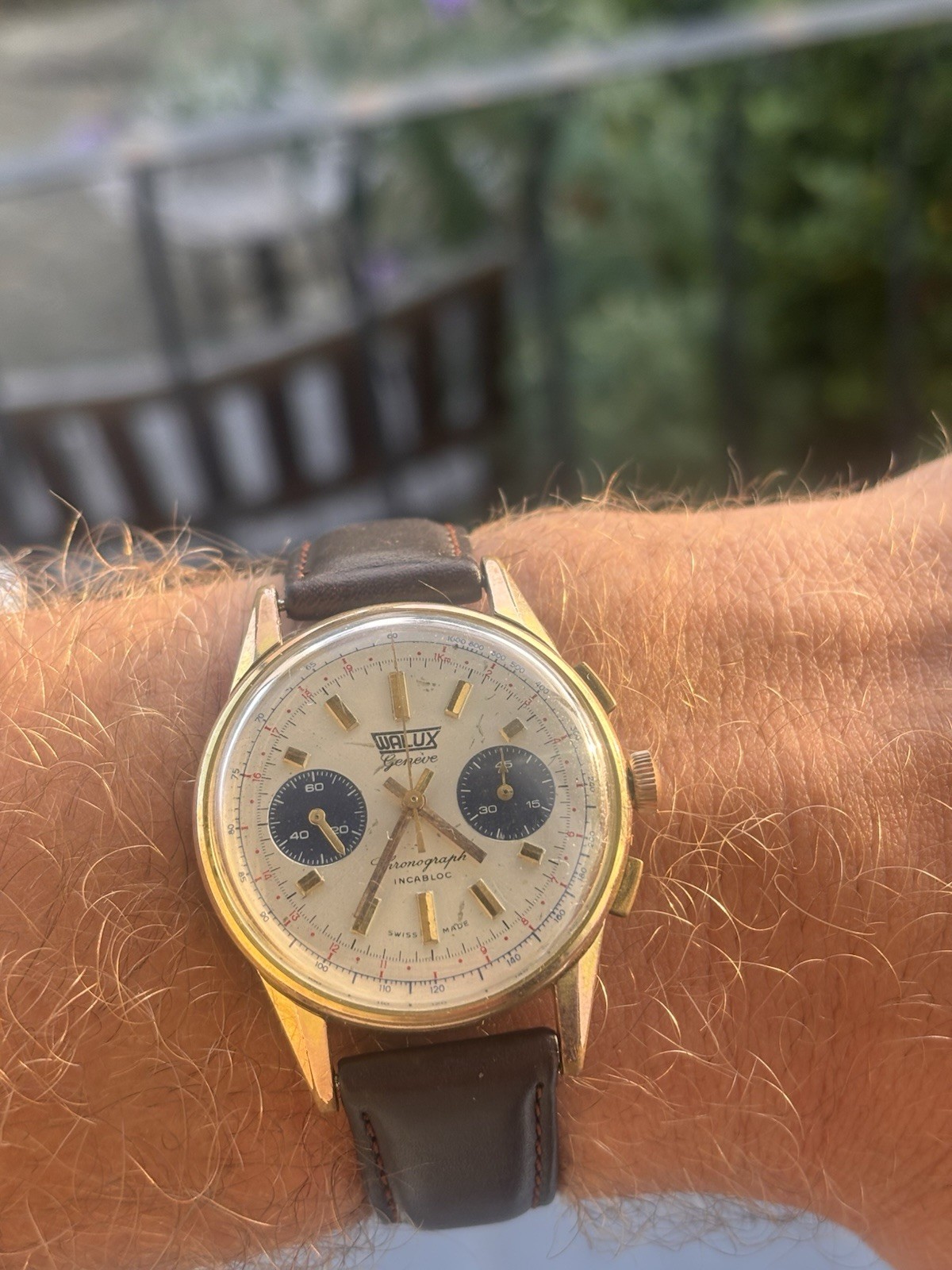 Fully Serviced! 1960s Vintage Valjoux 7733 Chronograph, Walux Geneve, Panda