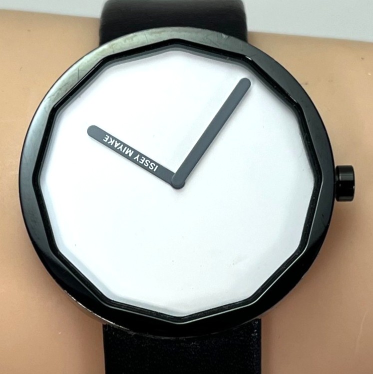 Seiko ISSEY MIYAKE TWELVE Unisex Qz Watch by NAOTO FUKASAWA JAPAN w/Box #203B