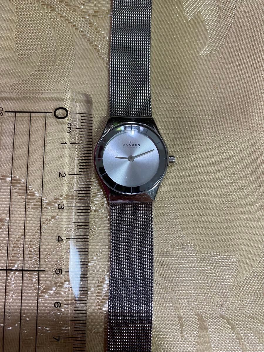SKAGEN Women’s Silver Mesh Belt Watch