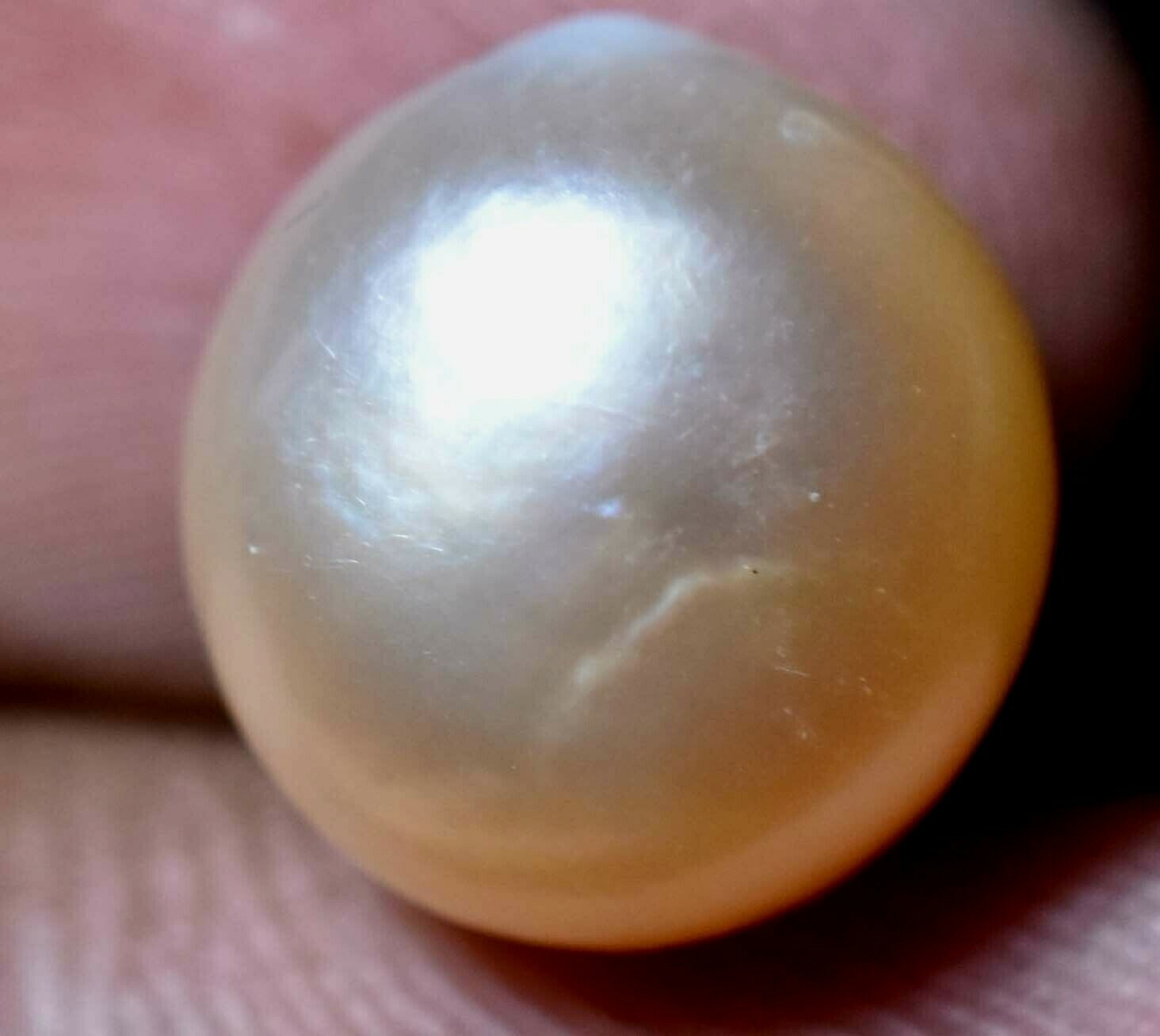 Natural Australian South Sea White Pearl 8.20 CT Certified Untreated Gemstone