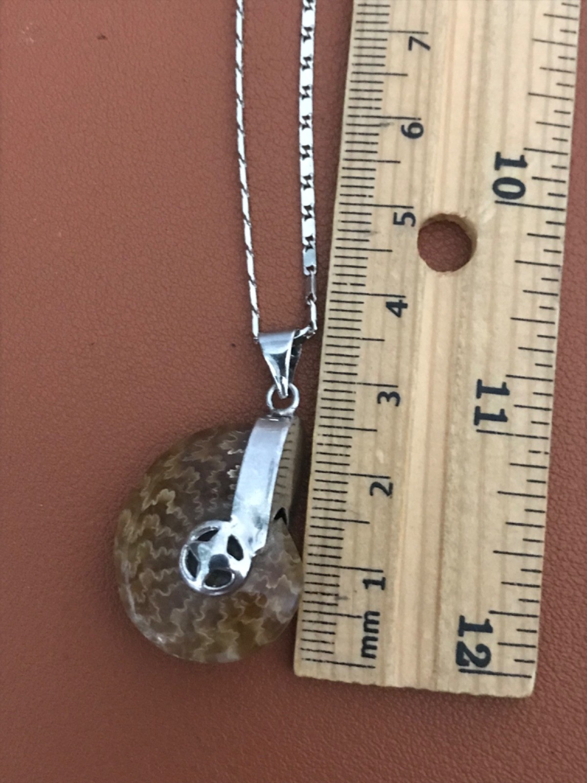 Ammonite Fossil Spiral Pendant WITH Necklace – Polished Prehistoric Shell