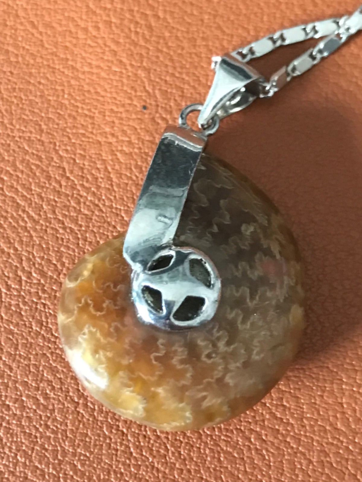 Ammonite Fossil Spiral Pendant WITH Necklace – Polished Prehistoric Shell