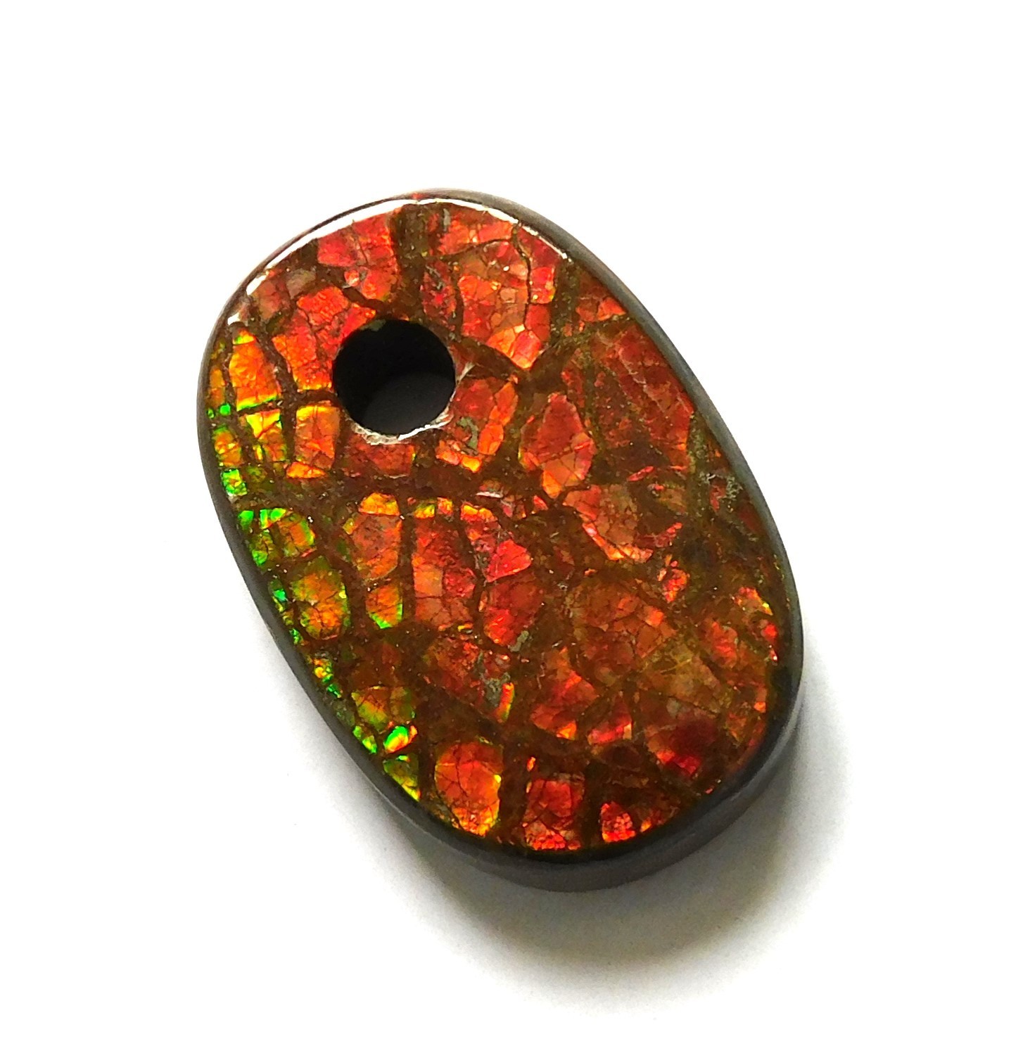 28.75 Ct Natural Canadian Ammolite Donut Gemstone 25.6X17X5.3MM FA58