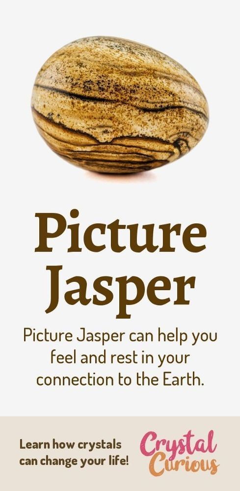 Peanut Wood Jasper Pear Shape Gemstone Gift Vintage Jewelry Pendant 2.4″ SR 3610