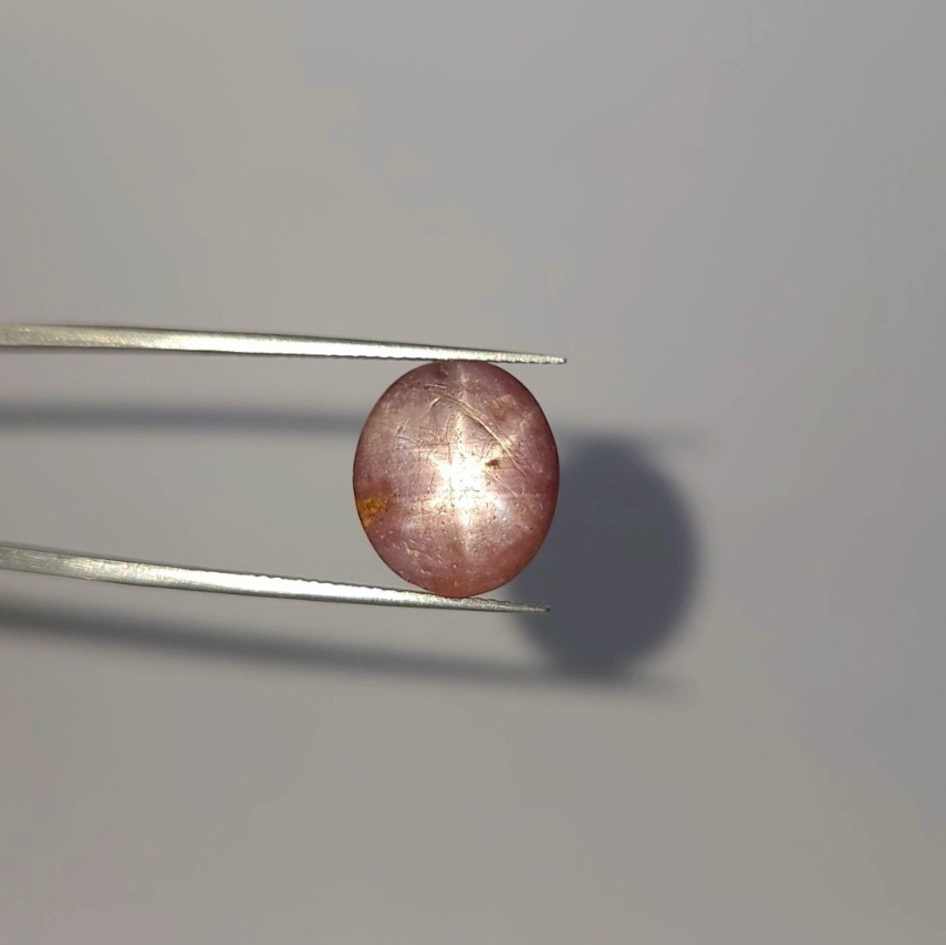 Natural 11.70 ct Translucent Star Sapphire Brown Oval Cabochon loose gemstone