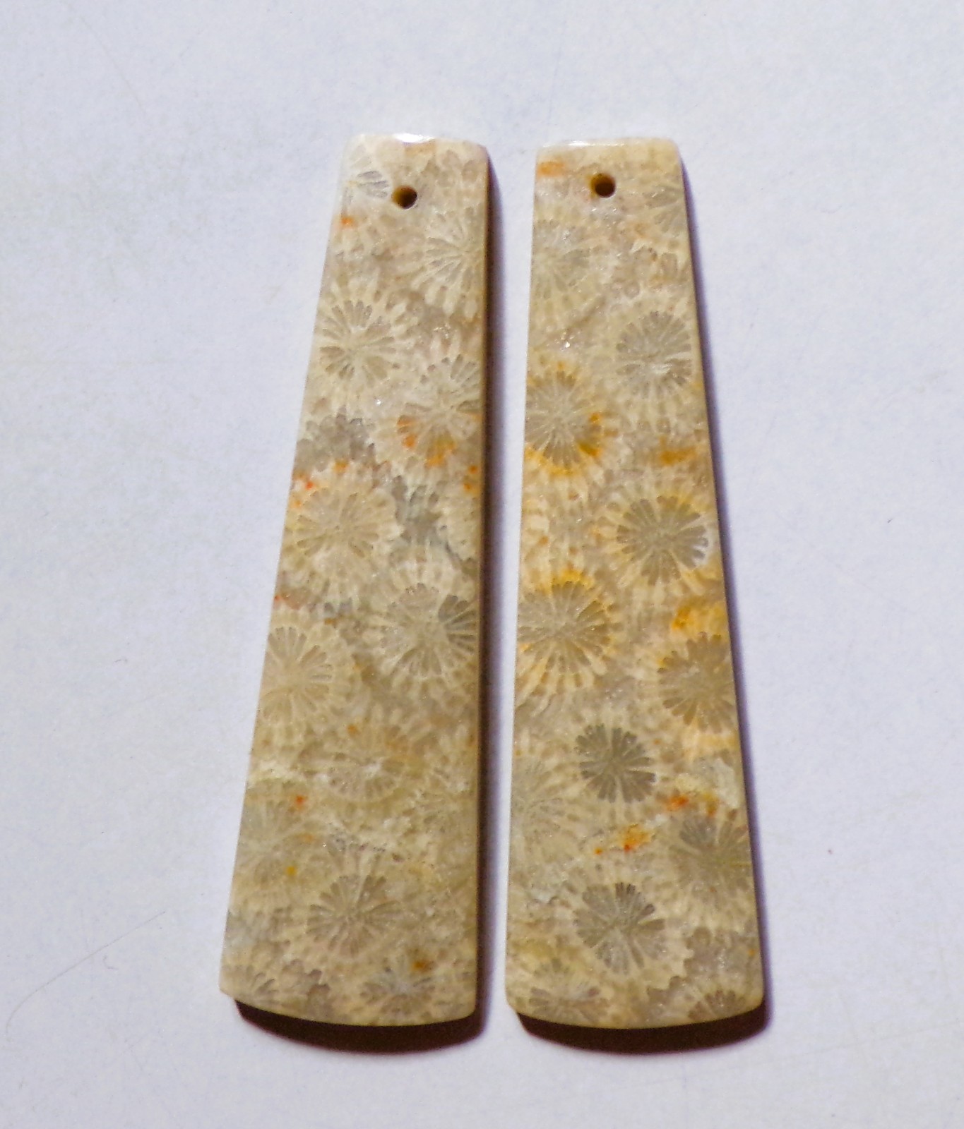 43.55 Cts Natural Fossil Coral Drilled Cabochon Match Pair Gemstone 47X13.6MM