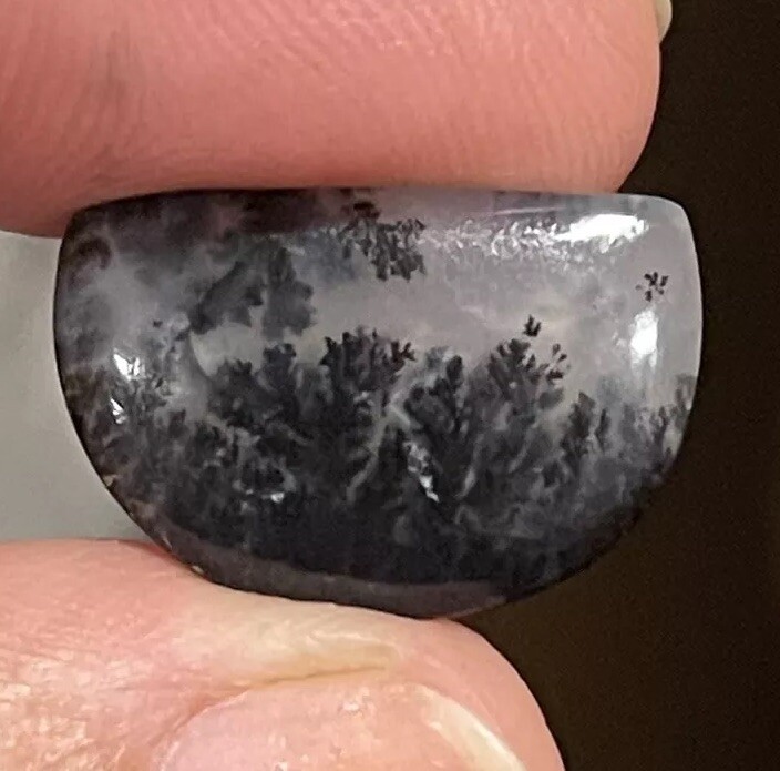 7ct 19.3x13x4mm Fine Dendritic Agate Smooth Cabochon Loose Picture Stone