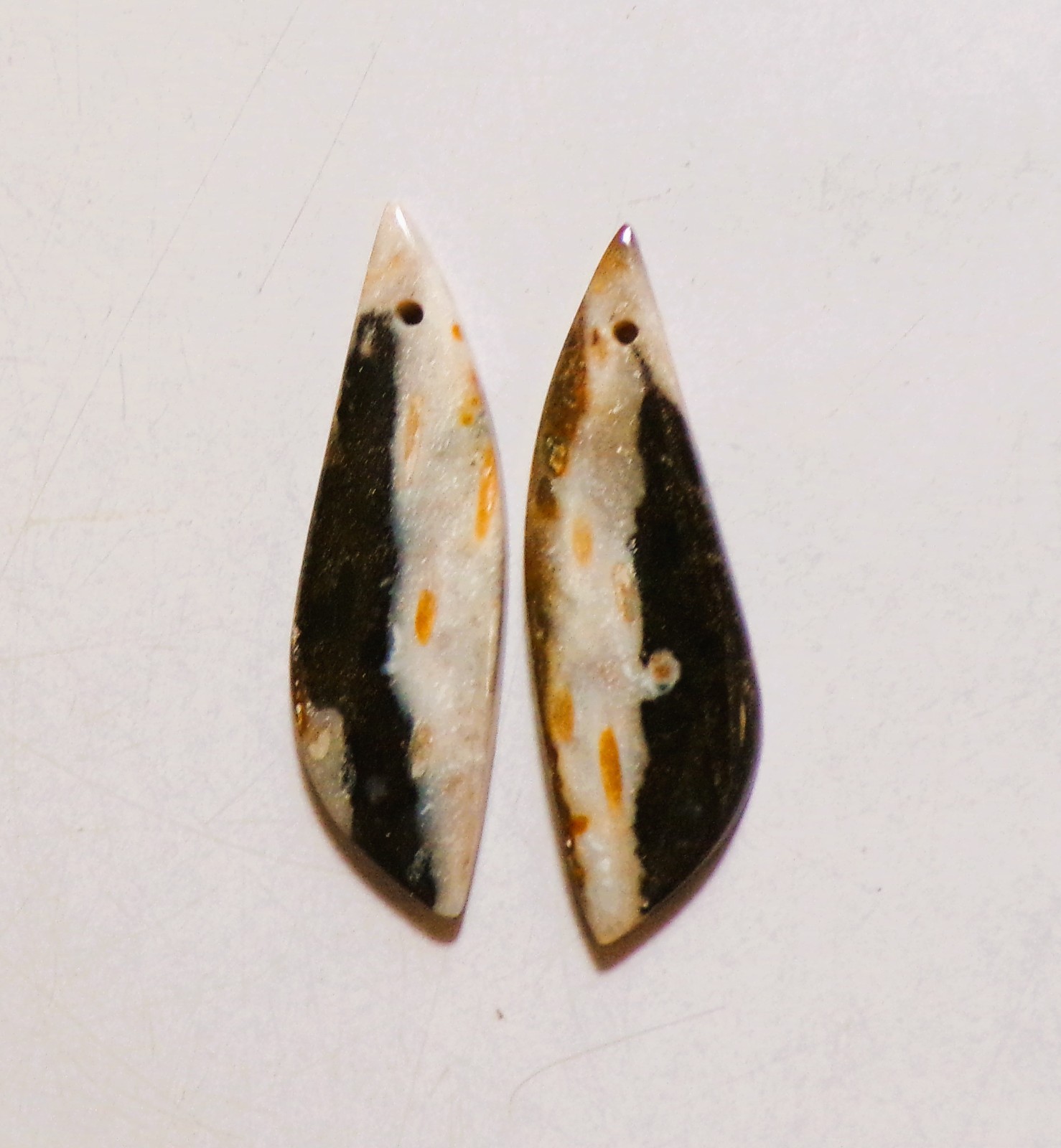 16.15 Cts Natural Palm Root Agate Drilled Cabochon Match Pair 34X10MM P09