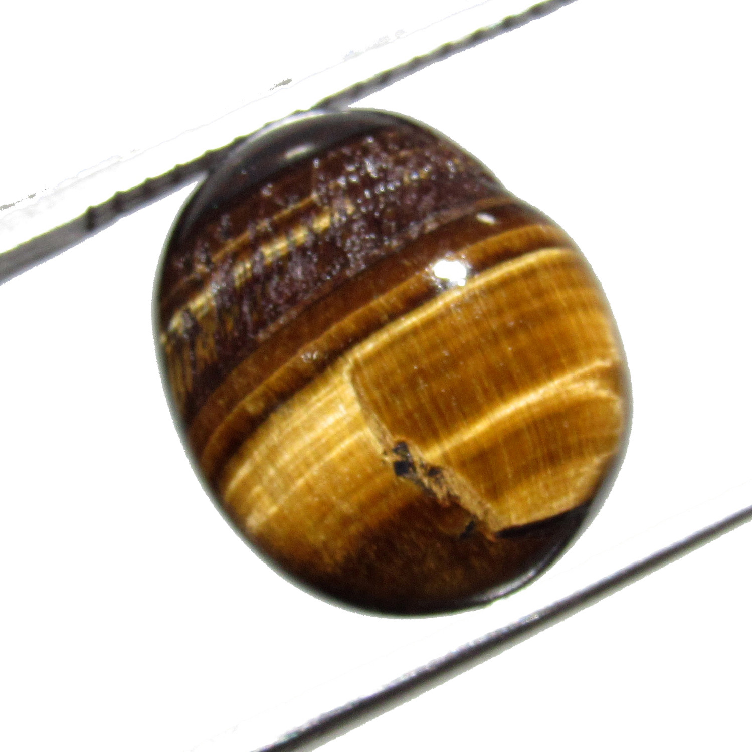 Awesome 5.90Cts Natural Oval Cabochon Gemstone Loose Brazilian Tiger Eye CH 7030