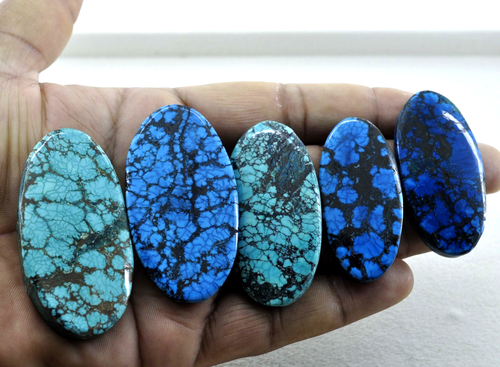 EGL Certified 480 Ct Natural Spiderweb Turquoise Blue Oval Loose Gemstone Lot