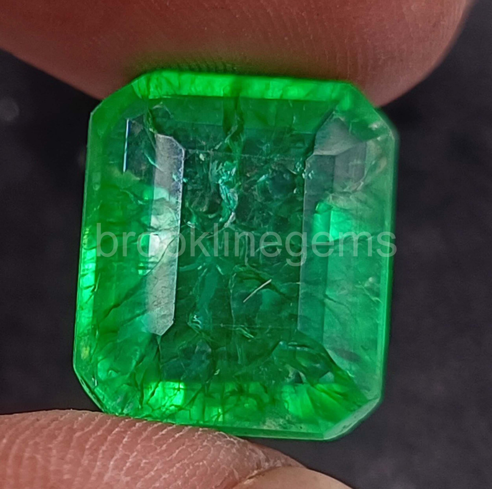 Natural Green Emerald 11.40 Ct Zambia Emerald Cut EGL Loose Gemstone 5ARP