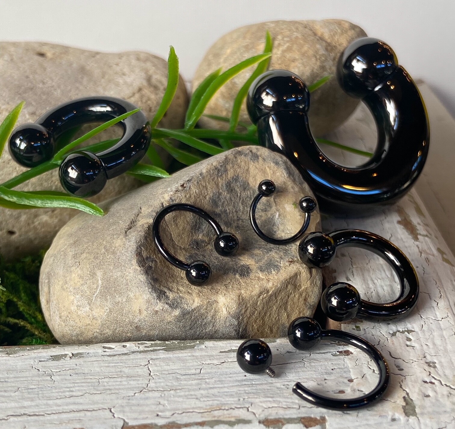 1pc Black PVD over Solid G23 Titanium Circular Barbell Horseshoe Horse Shoe