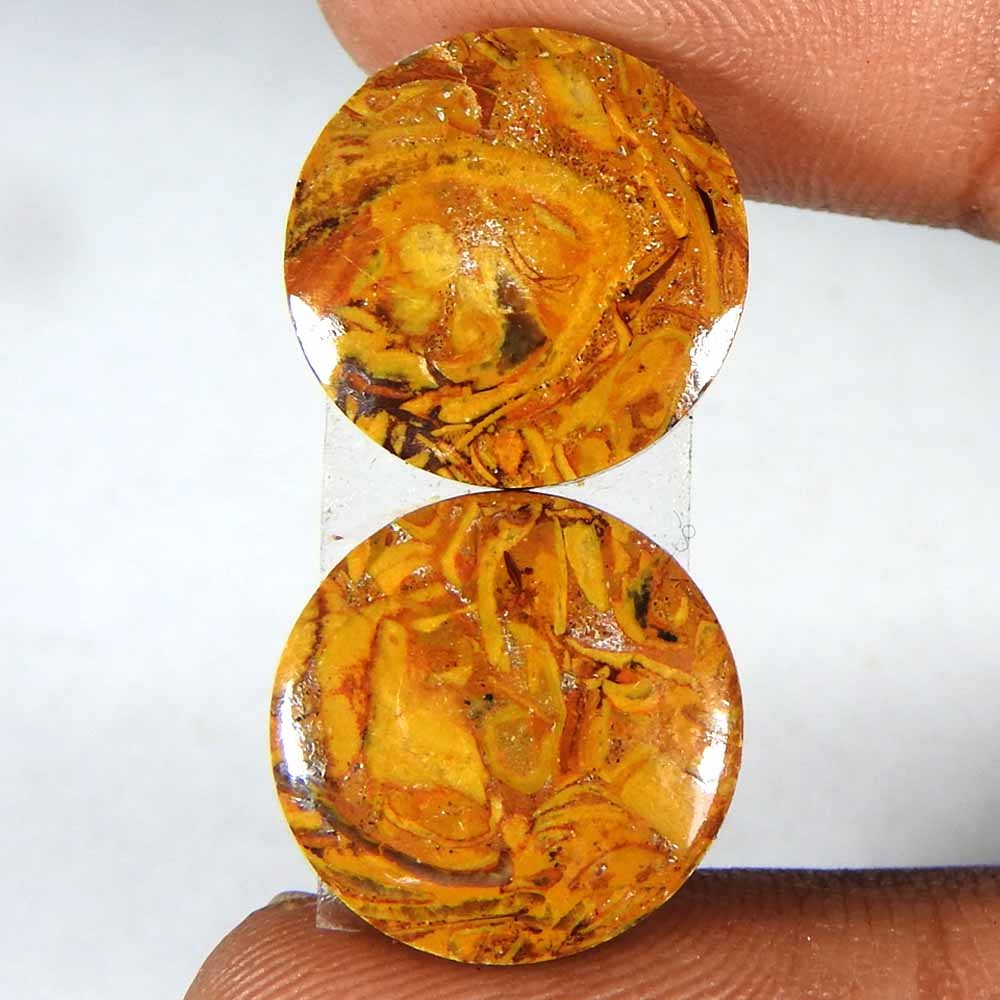 18.10Cts100%Natural Mariam Jasper Round Cabochon(14×3)Loose Gemstone
