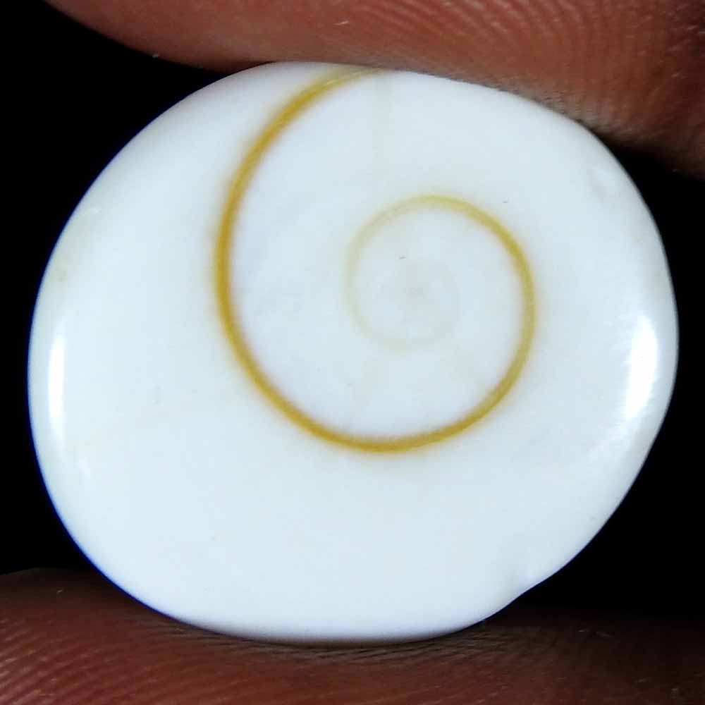 24.55Cts100%Natural Shiva Eye Jasper Oval Cabochon(22x20x8)Loose Gemstone