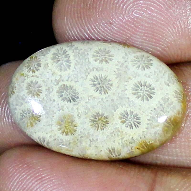 25.40 Ct 100% Natural Fossil Coral Oval Cabochon Loose Gemstone 20X30X5 mm BC-57
