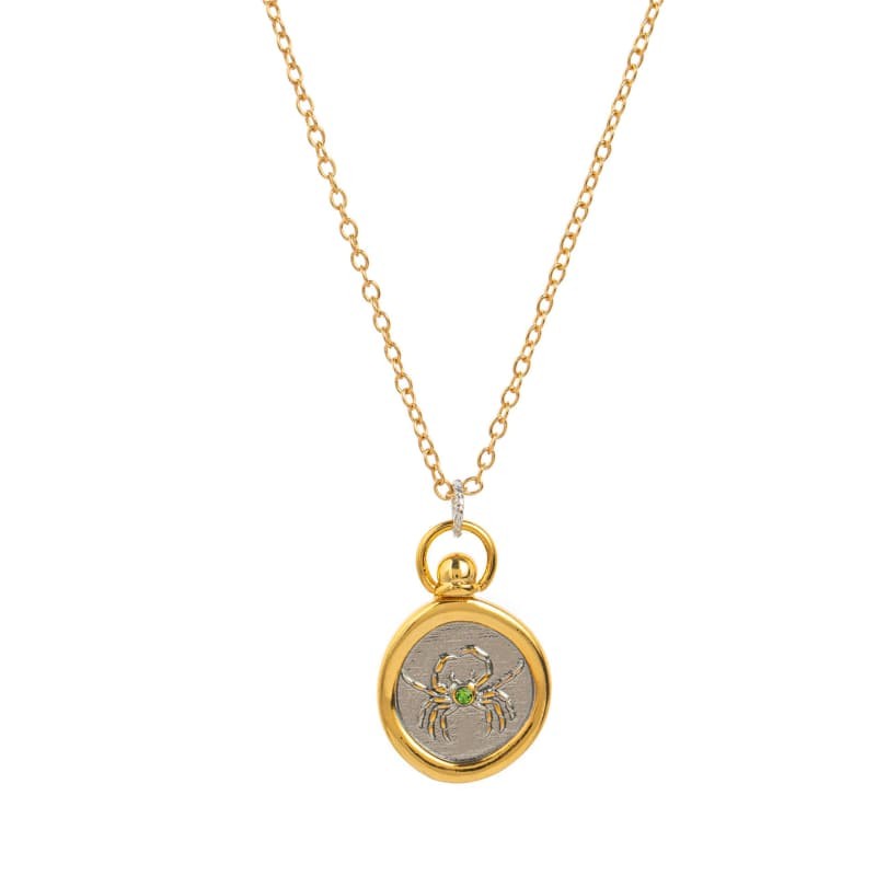 Zodiac Pendant Astrology Choker Horoscope Sign Necklace Constellation Charm Link