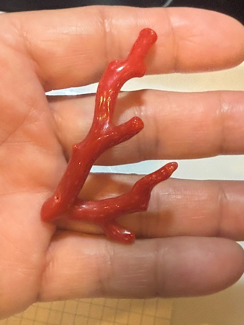Vintage Style Coral Red Branch 5.59 grams Not dyed, authentic, drilled, CL20