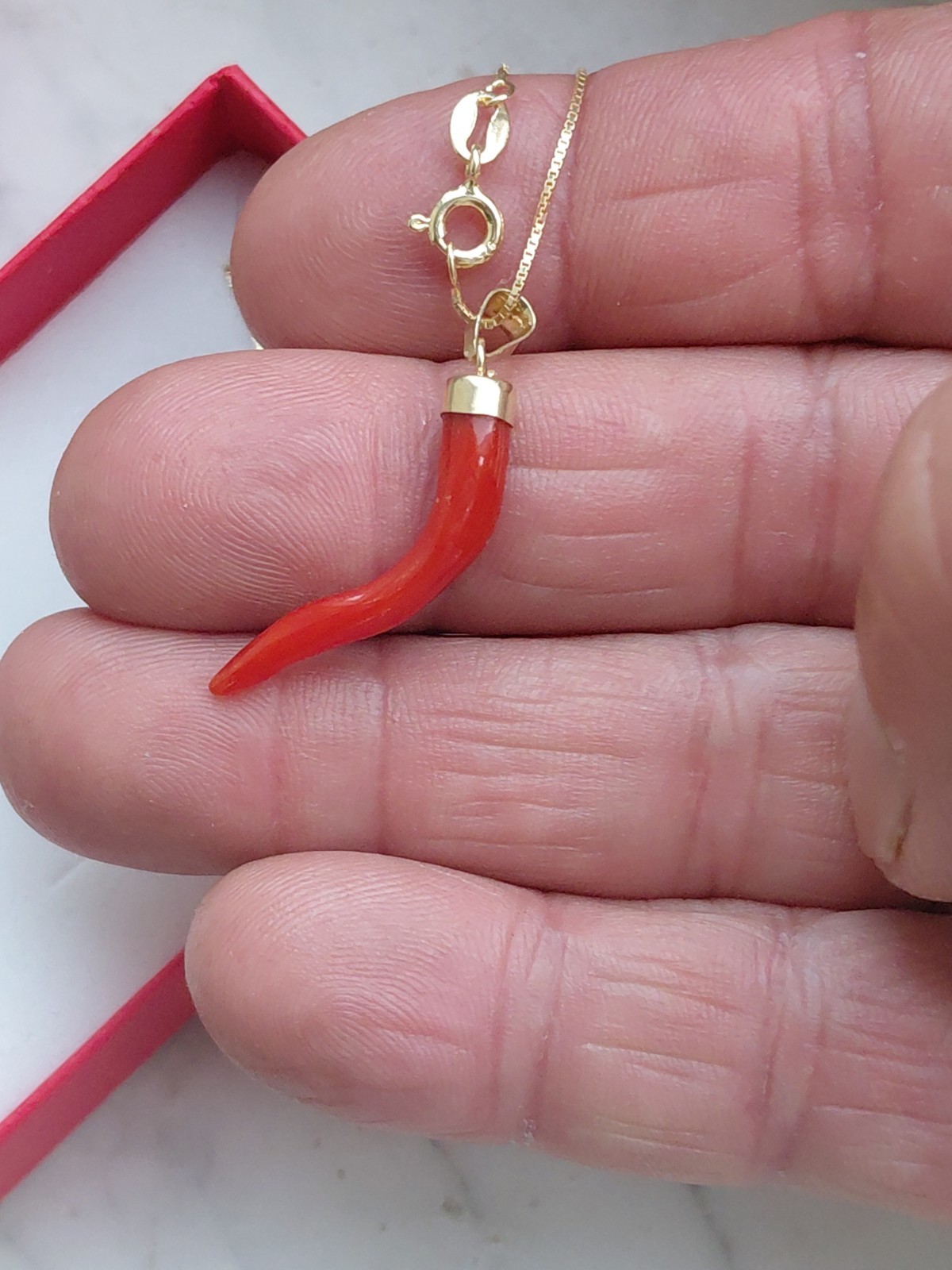 SARDINIAN RED CORAL HORN NECKLACE + AMULET ON SILVER,925
