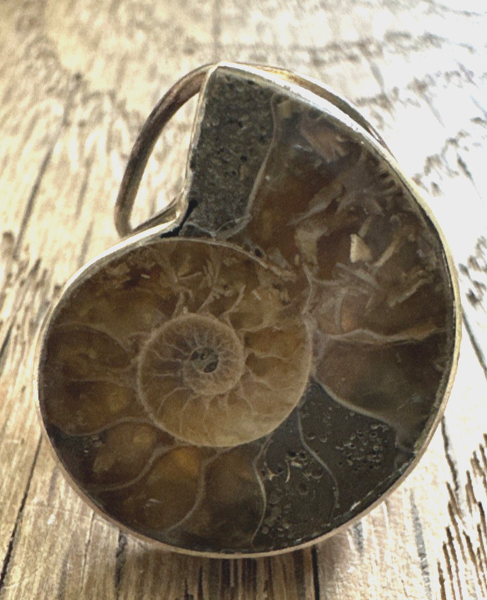 Sterling Silver Ammonite Natural Fossil Ring Size 6