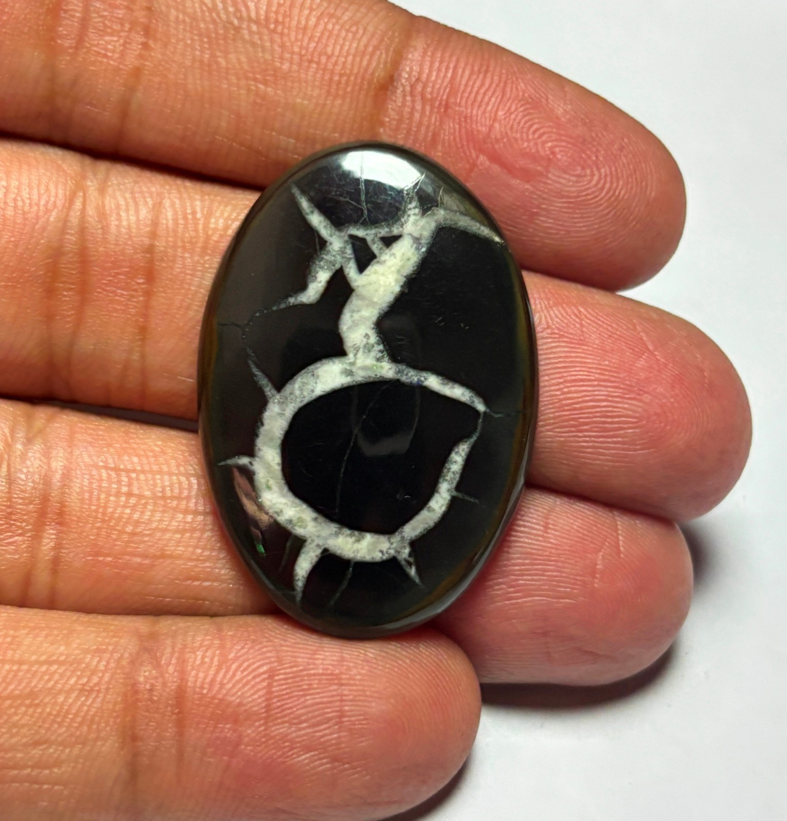 Black Septarian Cabochon Loose Flat Back Natural Gemstone For Jewlery Making