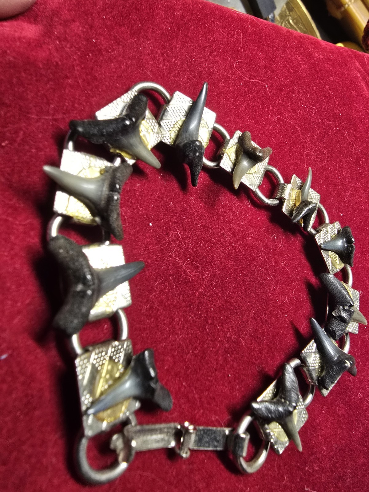 7″ Shark Tooth Bracelet Home Made From Casperson Beach 10 + Mill Yr Old Teeth