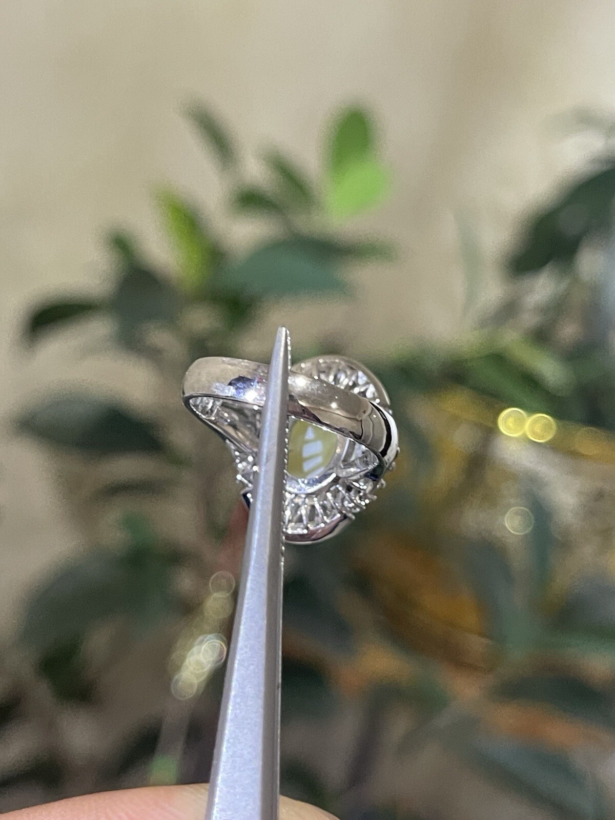 GIA 3.29ct Natural Chrysoberyl Greenish Yellow Cats Eye Ring 1.38ct diam,pt900