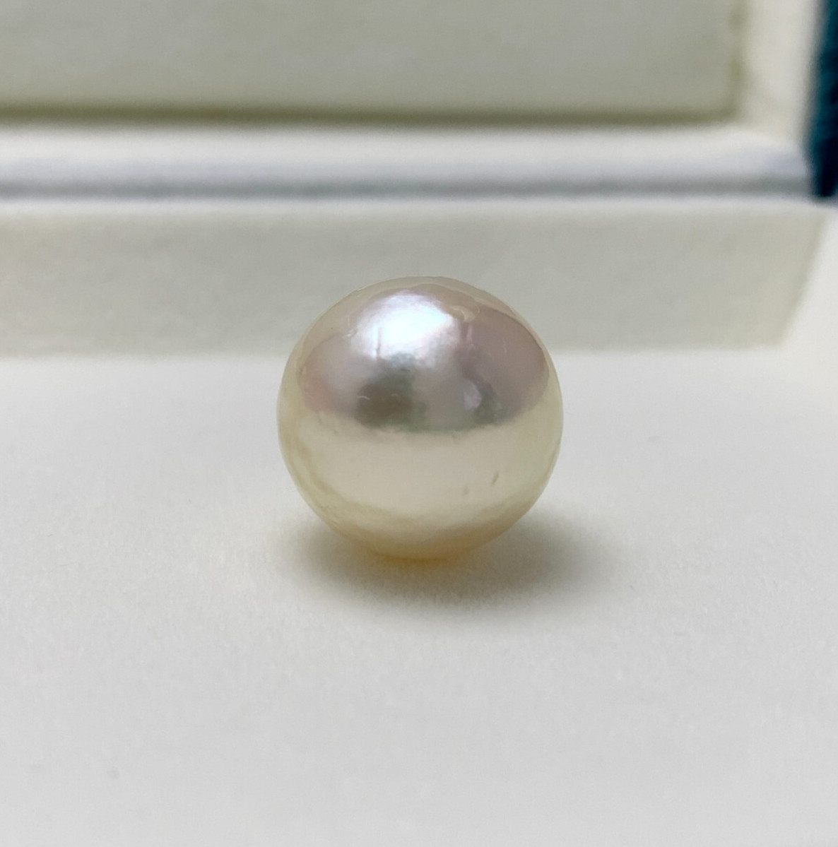 Big 16.0mm Round Champagne South Sea Loose Pearl Undrilled, High Luster
