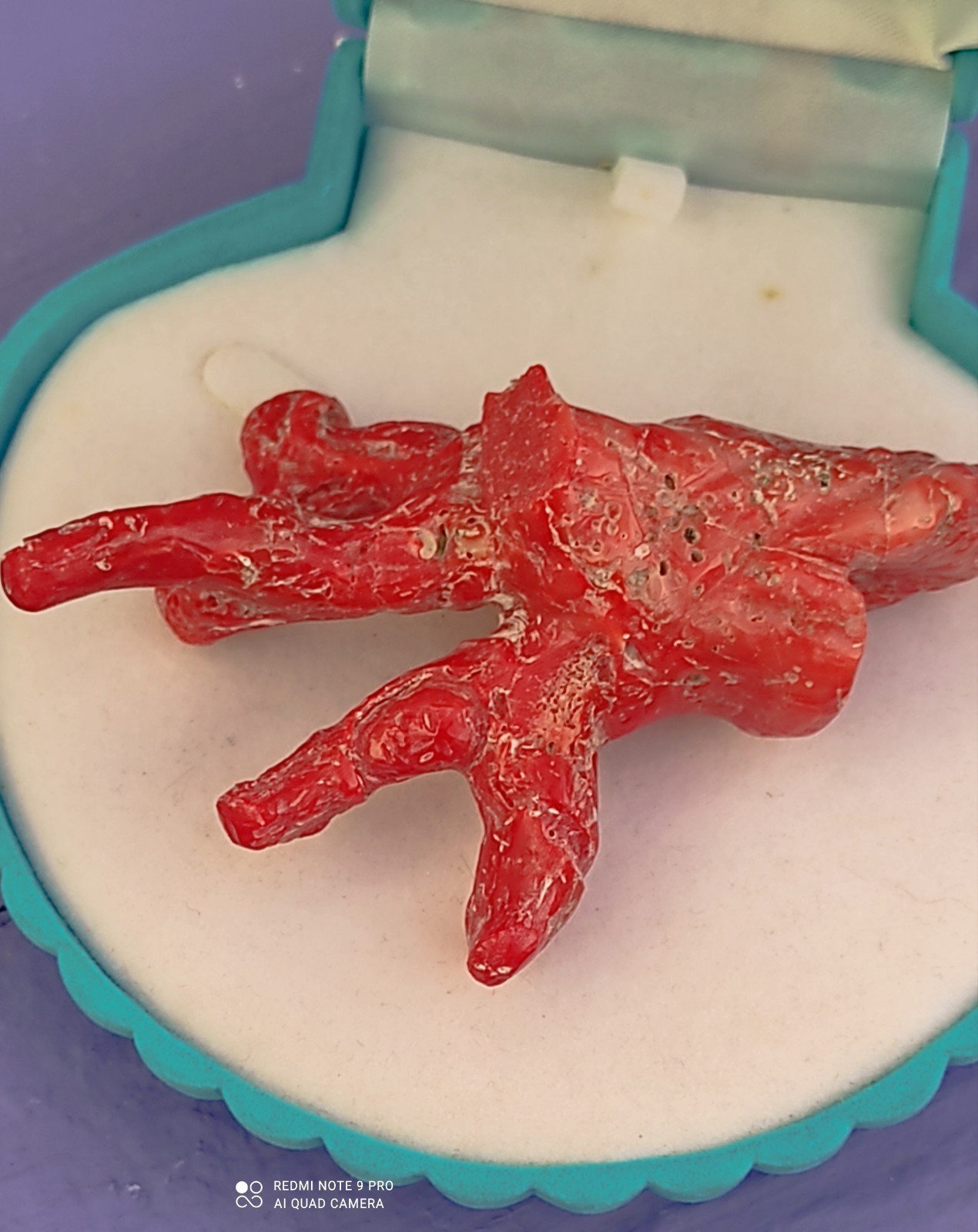 Natural Red Coral of Sardinia