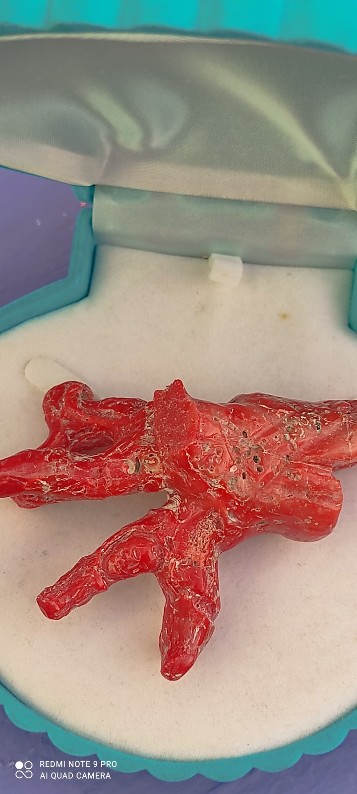 Natural Red Coral of Sardinia