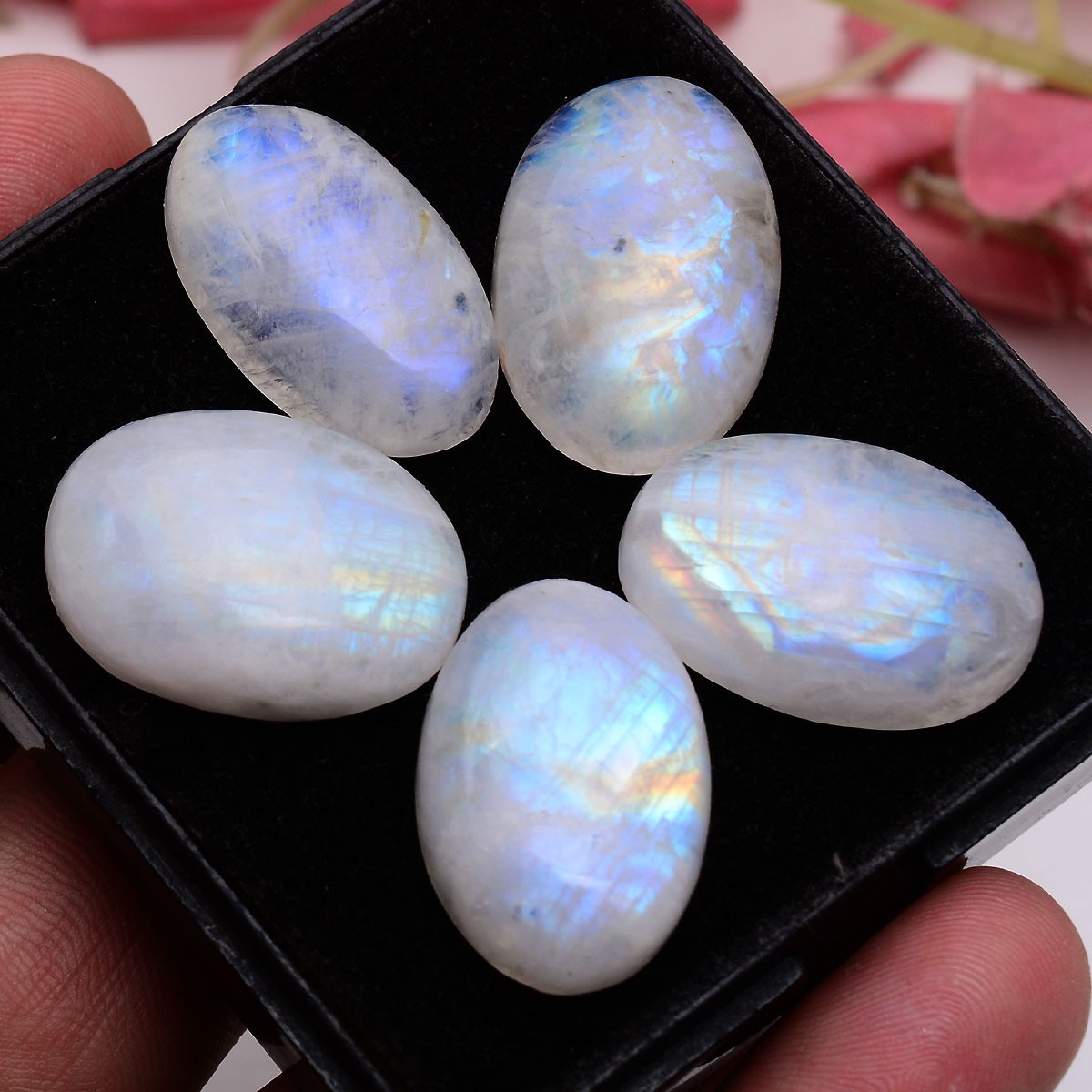 5 Pcs Natural Rainbow Moonstone 23mm-25mm Oval Cabochon Untreated Huge Gemstones