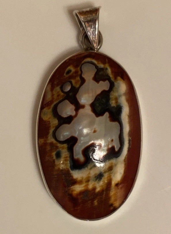 African Turban Shell Pendant Sterling Silver 1.5” x 1”
