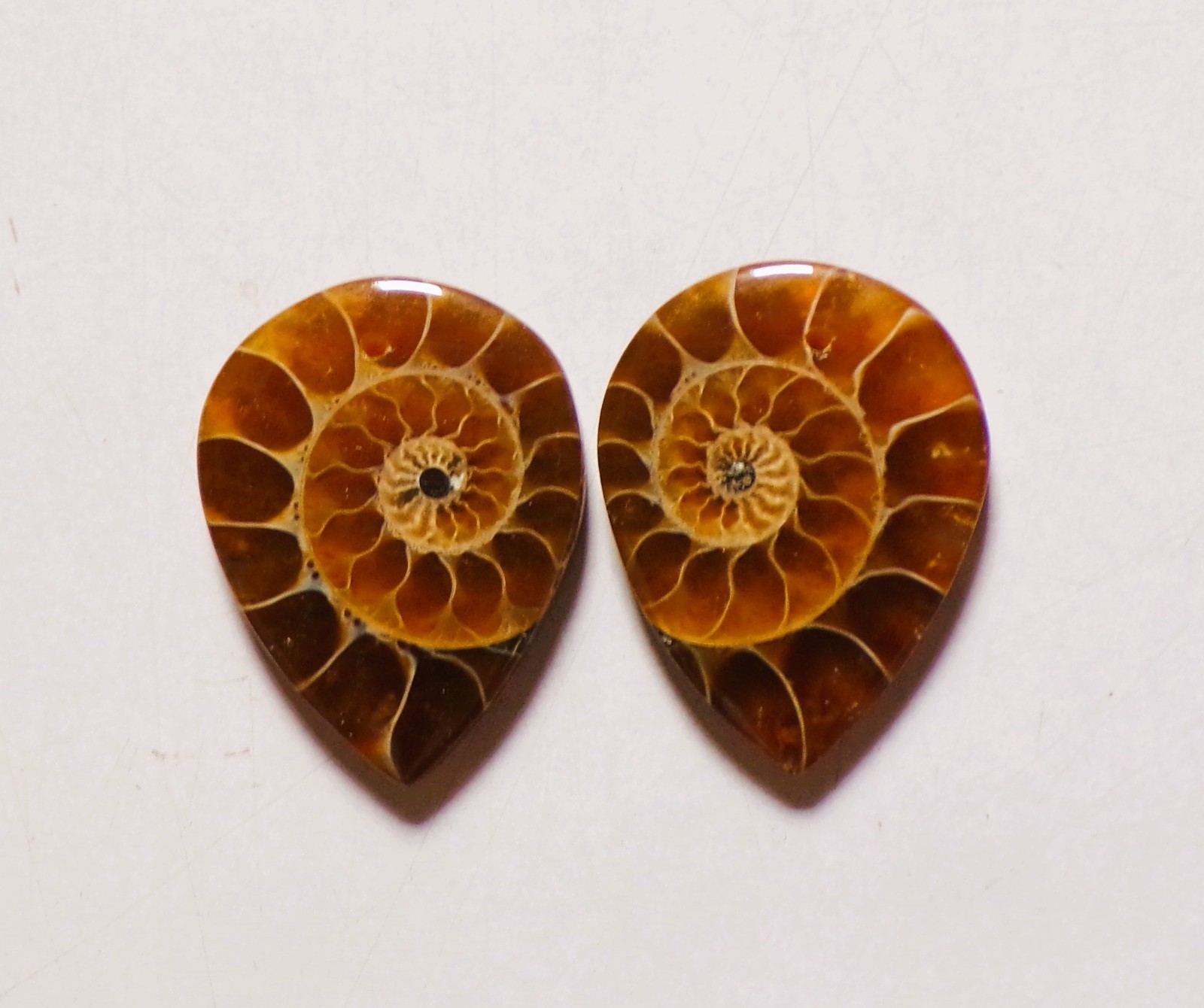 50.00 Cts Natural Ammonite Drilled Cabochon Match Pair Gemstone 29X22MM 208