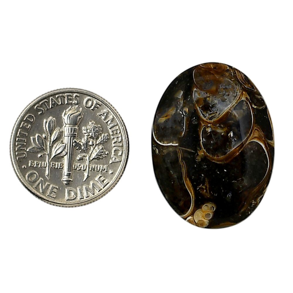 Natural Turtella Jasper 18.5x25x6 mm Oval Shape Polished Gemstone LS70-05795